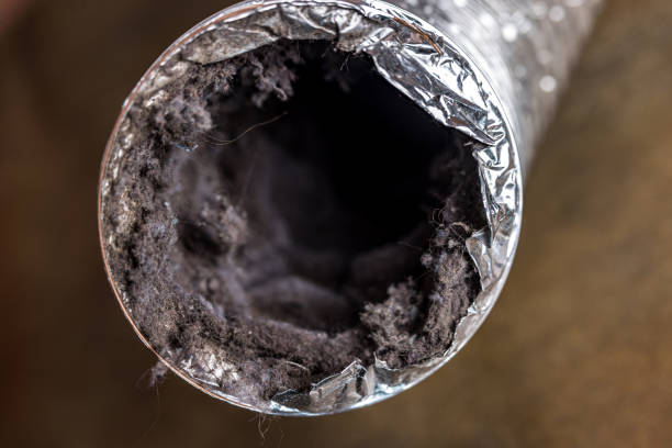 Best Ductwork Cleaning Services  in New Paleste, IN