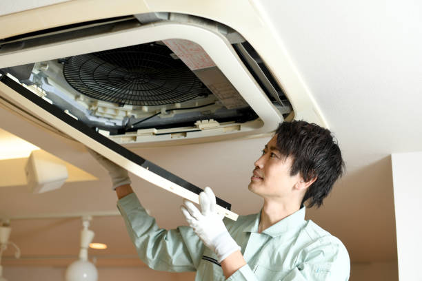 Best Ductwork Cleaning Services  in New Paleste, IN